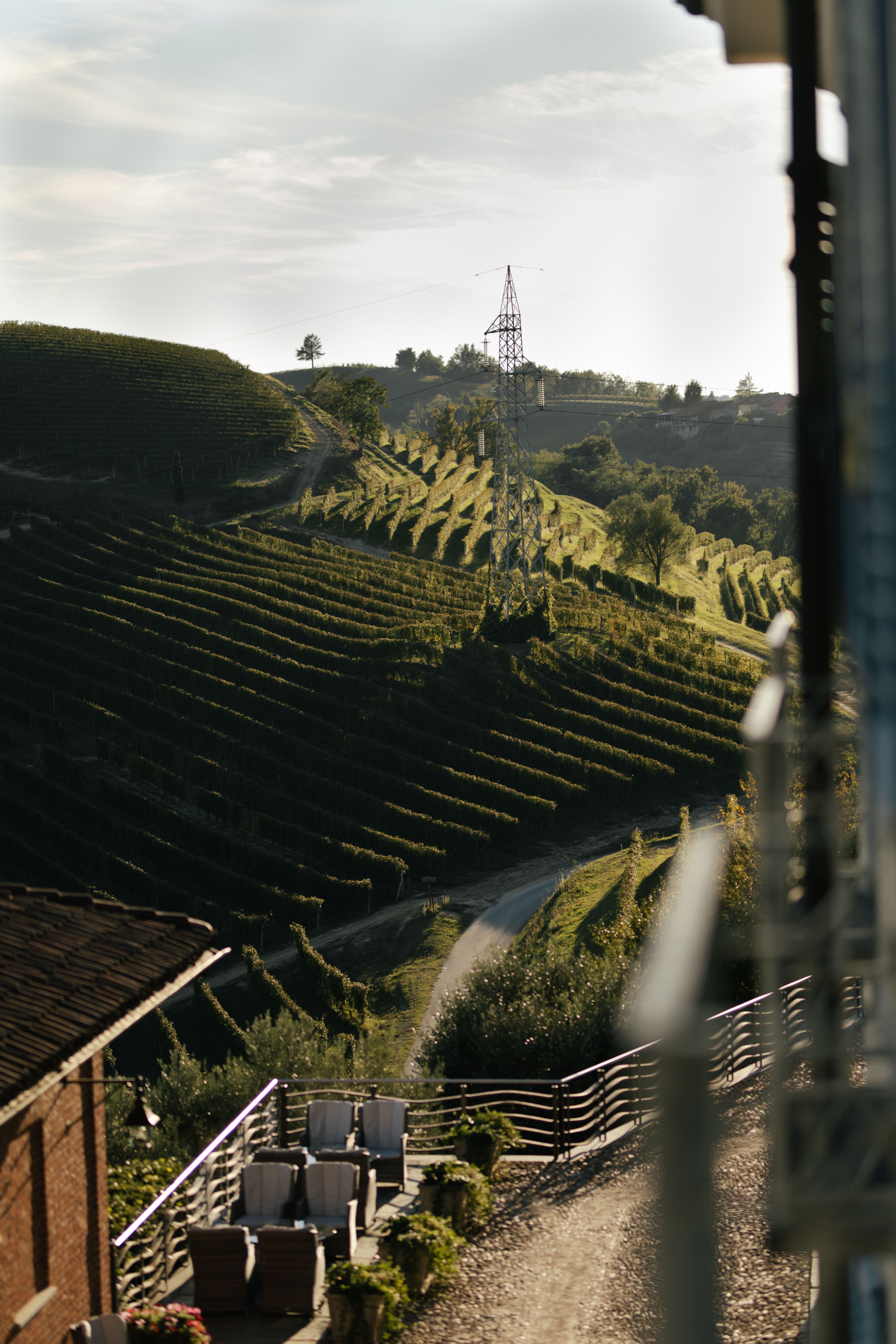 Botti antiche in rovere nelle gallerie sotterranee Tenuta Monis